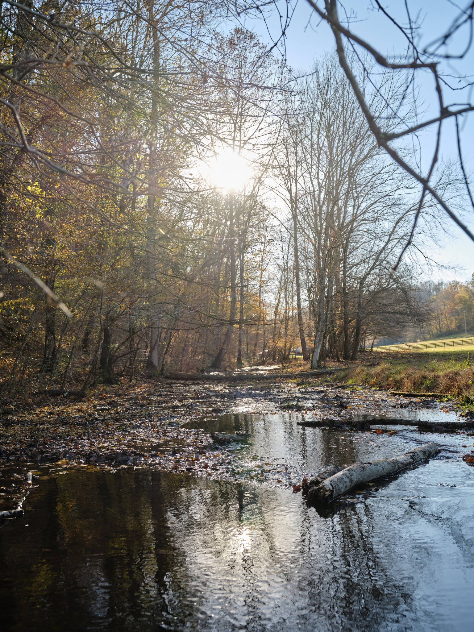 6677 Leipers Creek Road Columbia, TN 38401 - Photo 49 of 88