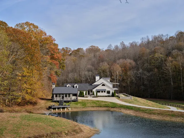 a living room with fireplace furniture and a potted plant