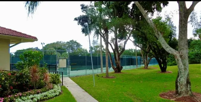 a view of a park with a tree