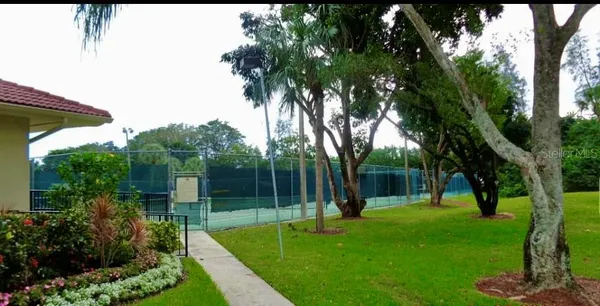 a view of a park with a tree