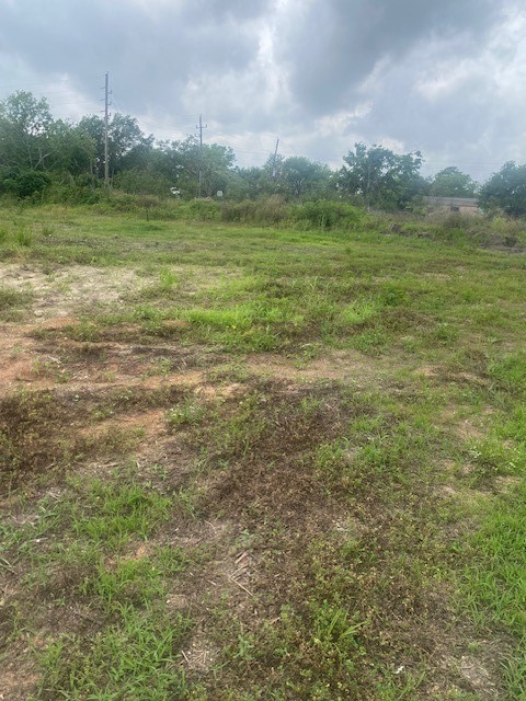 0 Cr 383 Rosharon Tx 77583 Rosharon, TX 77583 - Photo 12 of 44 a view of a field with an ocean
