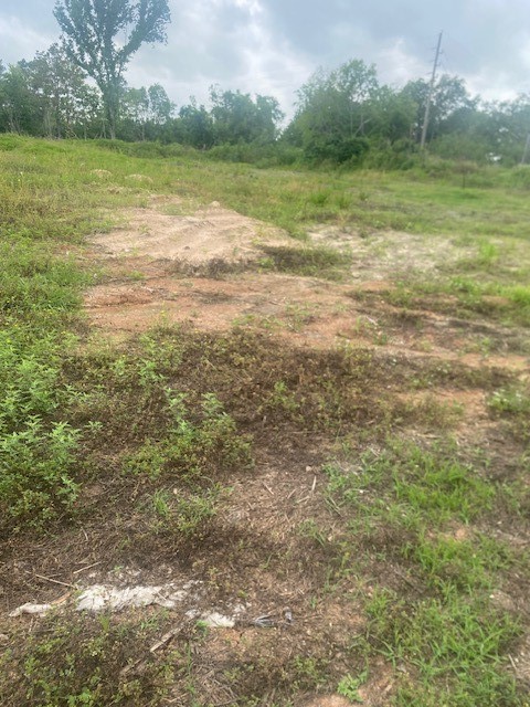 0 Cr 383 Rosharon Tx 77583 Rosharon, TX 77583 - Photo 13 of 44 a view of an ocean view