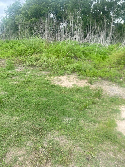 0 Cr 383 Rosharon Tx 77583 Rosharon, TX 77583 - Photo 15 of 44 a backyard of a house with lots of green space and lake view