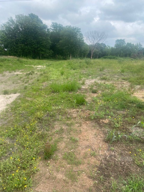 0 Cr 383 Rosharon Tx 77583 Rosharon, TX 77583 - Photo 16 of 44 a view of a field with an trees