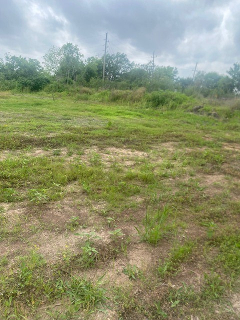 0 Cr 383 Rosharon Tx 77583 Rosharon, TX 77583 - Photo 17 of 44 a view of a field with an ocean