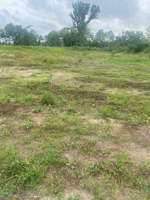 0 Cr 383 Rosharon Tx 77583 Rosharon, TX 77583 - Photo 18 of 44 a view of an ocean from a yard