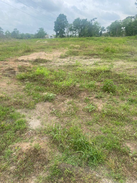 0 Cr 383 Rosharon Tx 77583 Rosharon, TX 77583 - Photo 19 of 44 a view of an ocean and a mountain