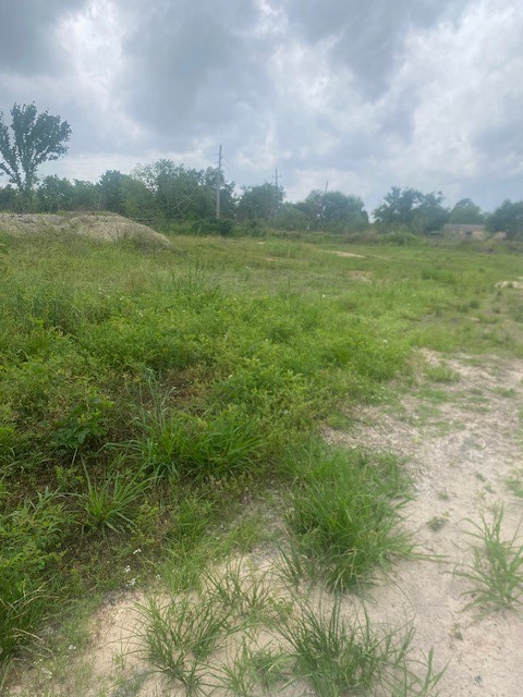 0 Cr 383 Rosharon Tx 77583 Rosharon, TX 77583 - Photo 21 of 44 a view of an ocean and a yard