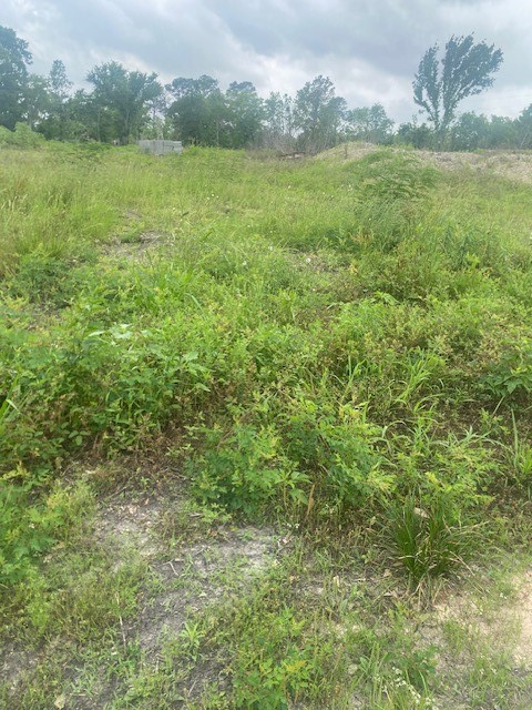 0 Cr 383 Rosharon Tx 77583 Rosharon, TX 77583 - Photo 22 of 44 a view of an ocean and a mountain