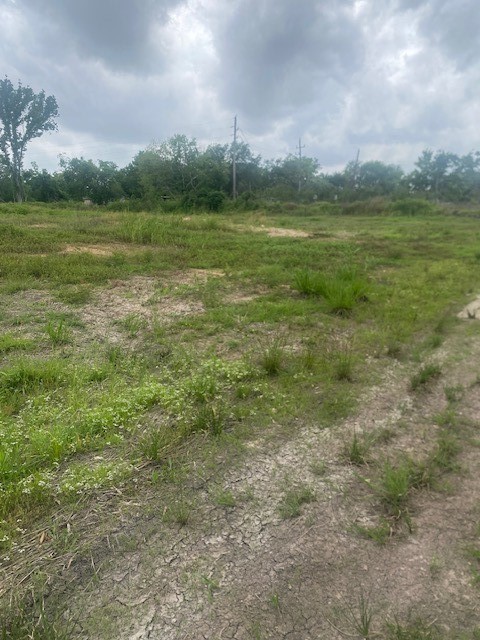 0 Cr 383 Rosharon Tx 77583 Rosharon, TX 77583 - Photo 24 of 44 a view of a field with an ocean