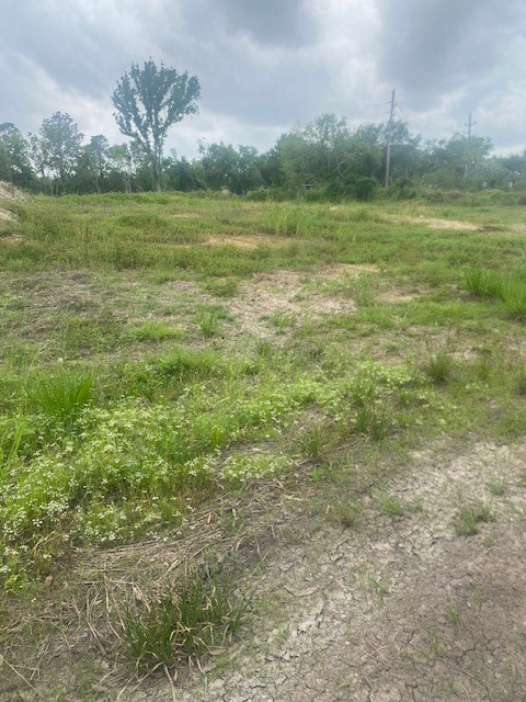 0 Cr 383 Rosharon Tx 77583 Rosharon, TX 77583 - Photo 25 of 44 a view of a field with an ocean