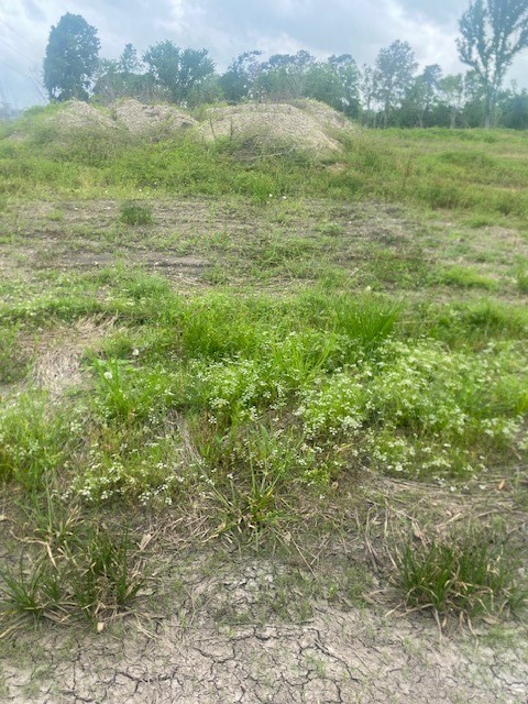 0 Cr 383 Rosharon Tx 77583 Rosharon, TX 77583 - Photo 26 of 44 a view of lake with mountain