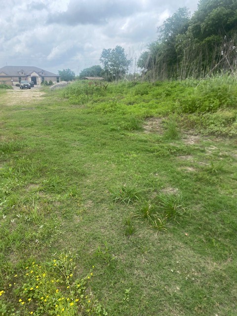 0 Cr 383 Rosharon Tx 77583 Rosharon, TX 77583 - Photo 31 of 44 a view of a field with an ocean