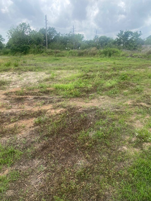 0 Cr 383 Rosharon Tx 77583 Rosharon, TX 77583 - Photo 32 of 44 a view of a field with an ocean