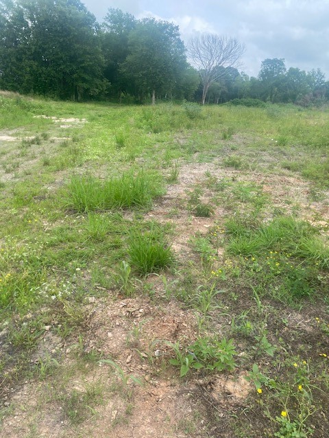 0 Cr 383 Rosharon Tx 77583 Rosharon, TX 77583 - Photo 33 of 44 a view of outdoor space with trees all around