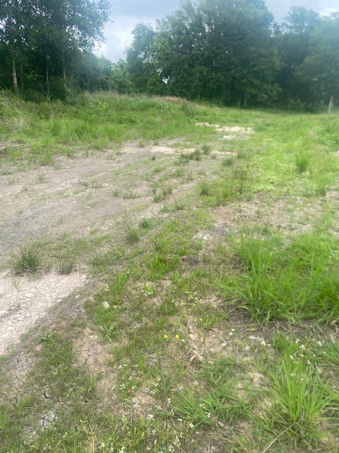 0 Cr 383 Rosharon Tx 77583 Rosharon, TX 77583 - Photo 34 of 44 a view of outdoor space and yard