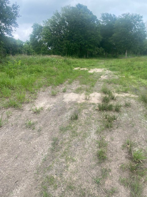 0 Cr 383 Rosharon Tx 77583 Rosharon, TX 77583 - Photo 35 of 44 a view of outdoor space with green field and trees all around