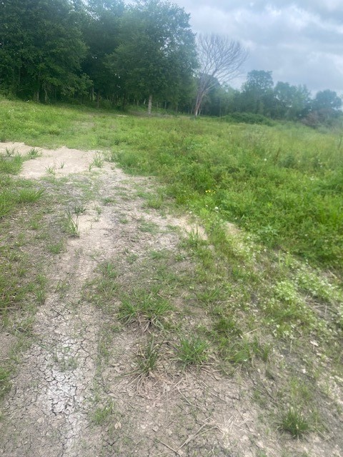 0 Cr 383 Rosharon Tx 77583 Rosharon, TX 77583 - Photo 36 of 44 a view of a field with an trees