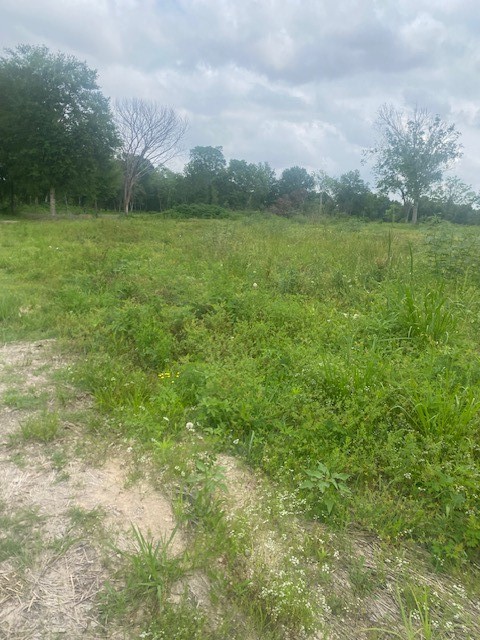 0 Cr 383 Rosharon Tx 77583 Rosharon, TX 77583 - Photo 37 of 44 a view of an ocean and a yard