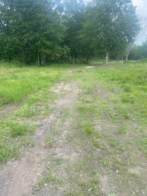 0 Cr 383 Rosharon Tx 77583 Rosharon, TX 77583 - Photo 38 of 44 a view of outdoor space and yard