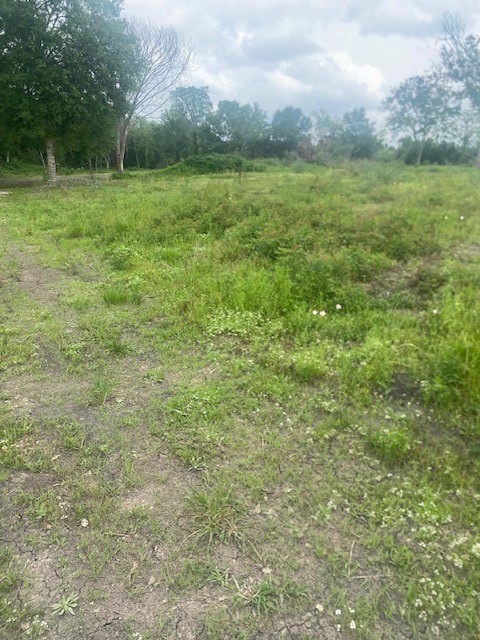 0 Cr 383 Rosharon Tx 77583 Rosharon, TX 77583 - Photo 40 of 44 a view of outdoor space with trees all around