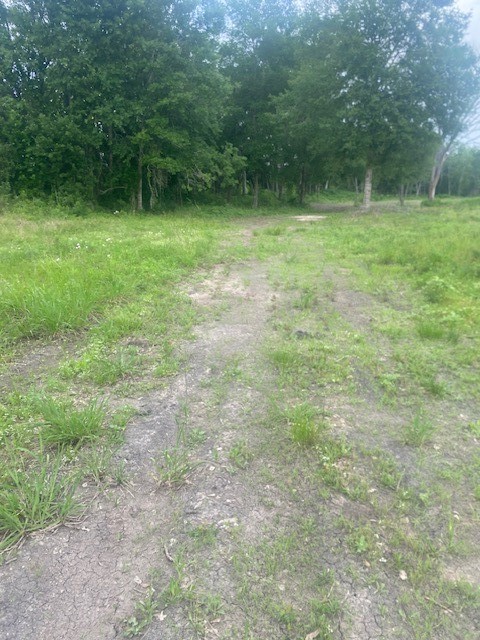 0 Cr 383 Rosharon Tx 77583 Rosharon, TX 77583 - Photo 41 of 44 a view of outdoor space with deck and yard