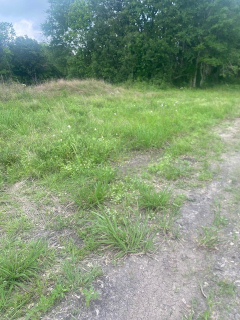 0 Cr 383 Rosharon Tx 77583 Rosharon, TX 77583 - Photo 42 of 44 a view of an outdoor space with a lake view