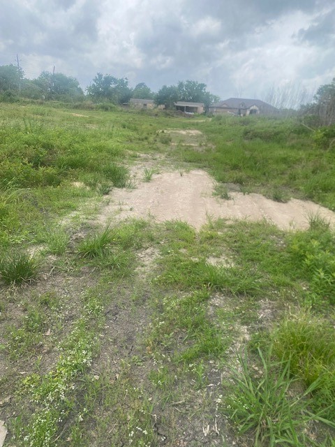 0 Cr 383 Rosharon Tx 77583 Rosharon, TX 77583 - Photo 43 of 44 a view of a field with an ocean view