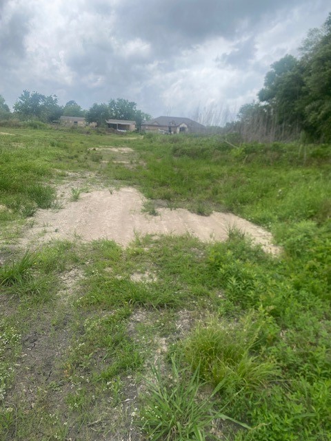 0 Cr 383 Rosharon Tx 77583 Rosharon, TX 77583 - Photo 44 of 44 a view of a big yard with large trees