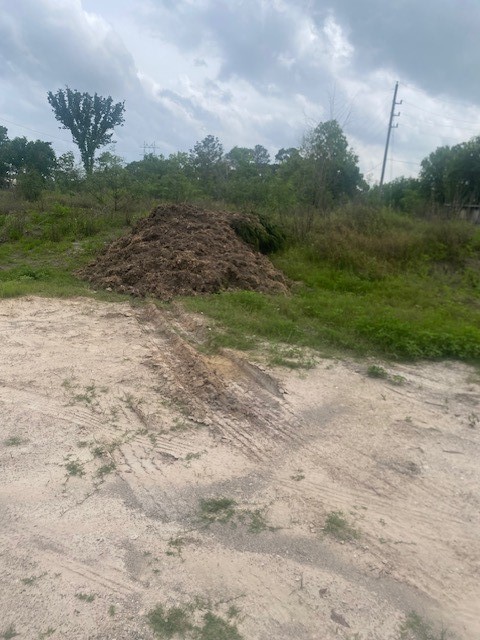 0 Cr 383 Rosharon Tx 77583 Rosharon, TX 77583 - Photo 8 of 44 a view of a yard