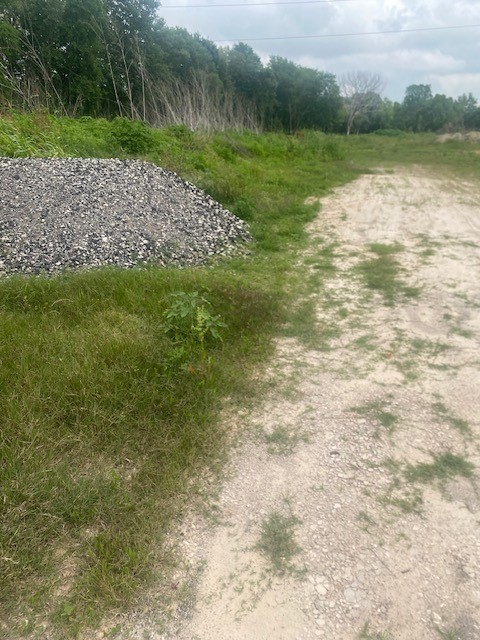 0 Cr 383 Rosharon Tx 77583 Rosharon, TX 77583 - Photo 10 of 44 a view of a lake with a big yard