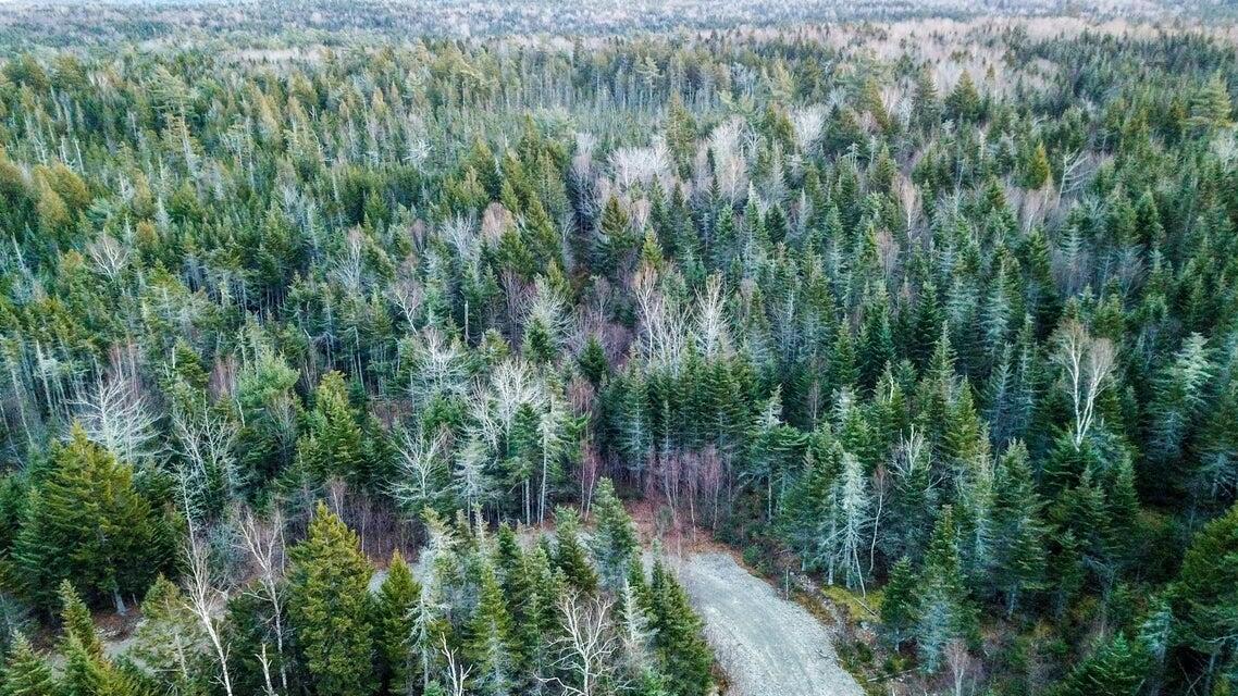 Lot 2-13 Yellow Birch Road Whiting, ME 04691 - Photo 14 of 15 Map 2 Lot 13 Aerial 3