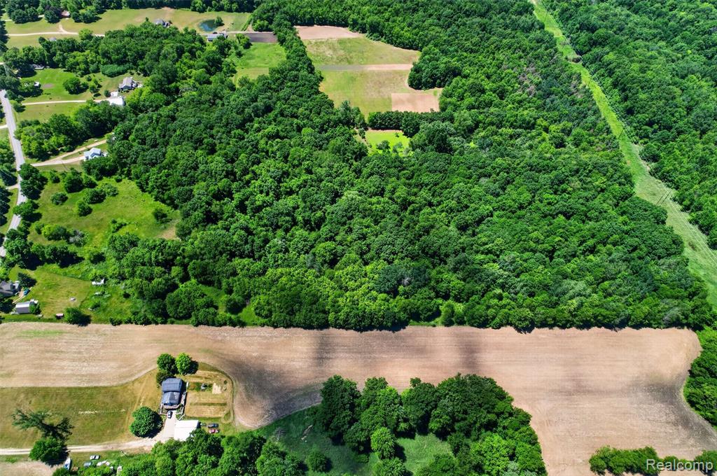 V1 Murray Road Dansville, MI 48819 - Photo 7 of 16