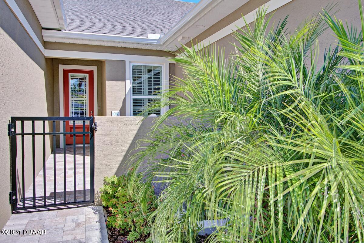 8 Finch Walk Road Ormond Beach, FL 32174 - Photo 15 of 18 a view of a backyard