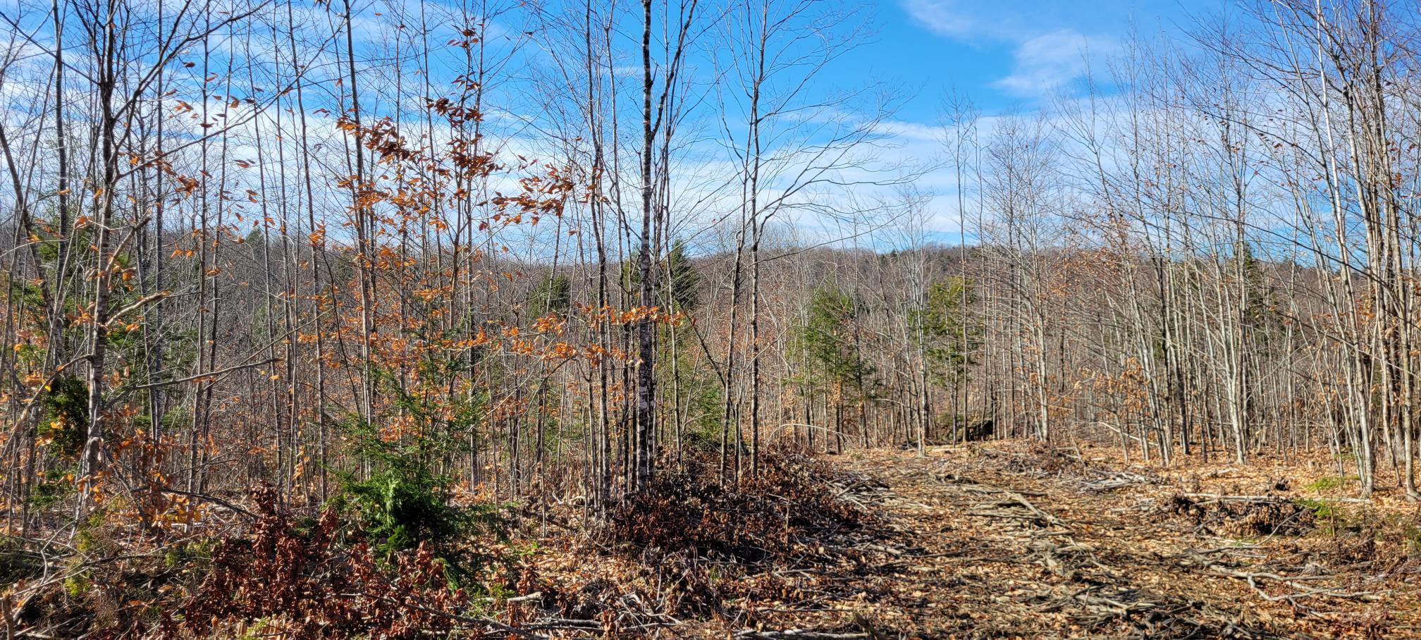 25-22 Back Troy Road Troy, ME 04987 - Photo 23 of 43 Lot 9
