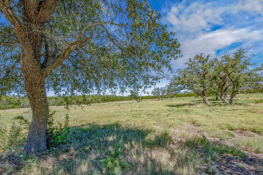 1 Bonita View Ranch Road Ingram, TX 78025 - Photo 5 of 9