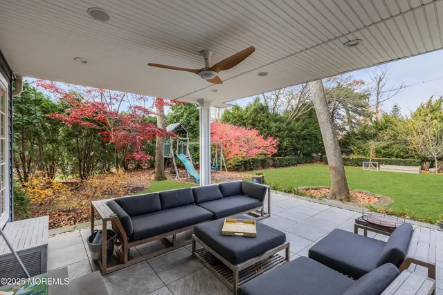 a view of a field with a tree