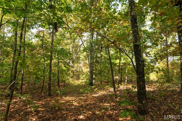 $337,500 | 1981 Ripley Route, Doniphan, MO 63935