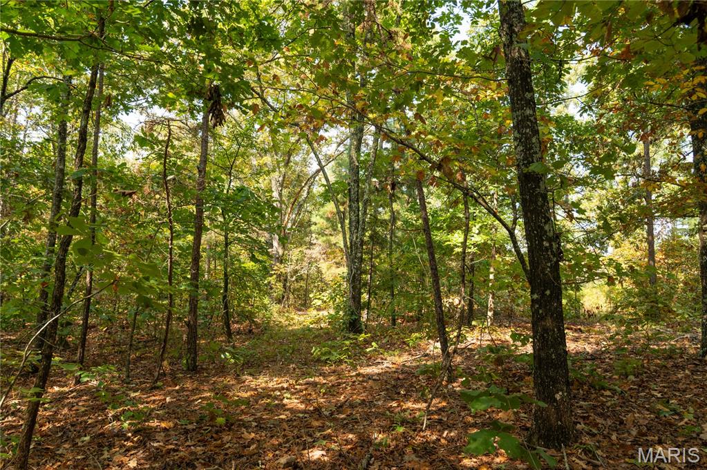 1981 Ripley Route Doniphan, MO 63935 - Photo 11 of 58