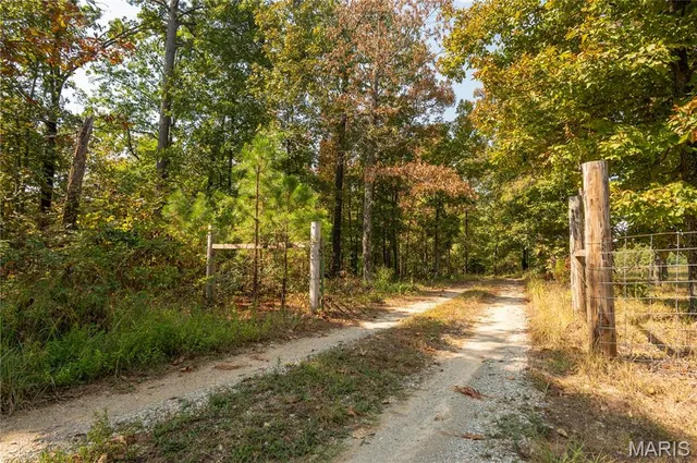 $337,500 | 1981 Ripley Route, Doniphan, MO 63935