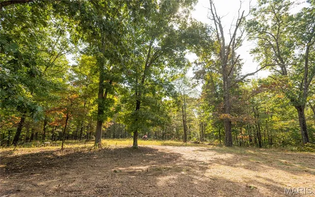 $337,500 | 1981 Ripley Route, Doniphan, MO 63935