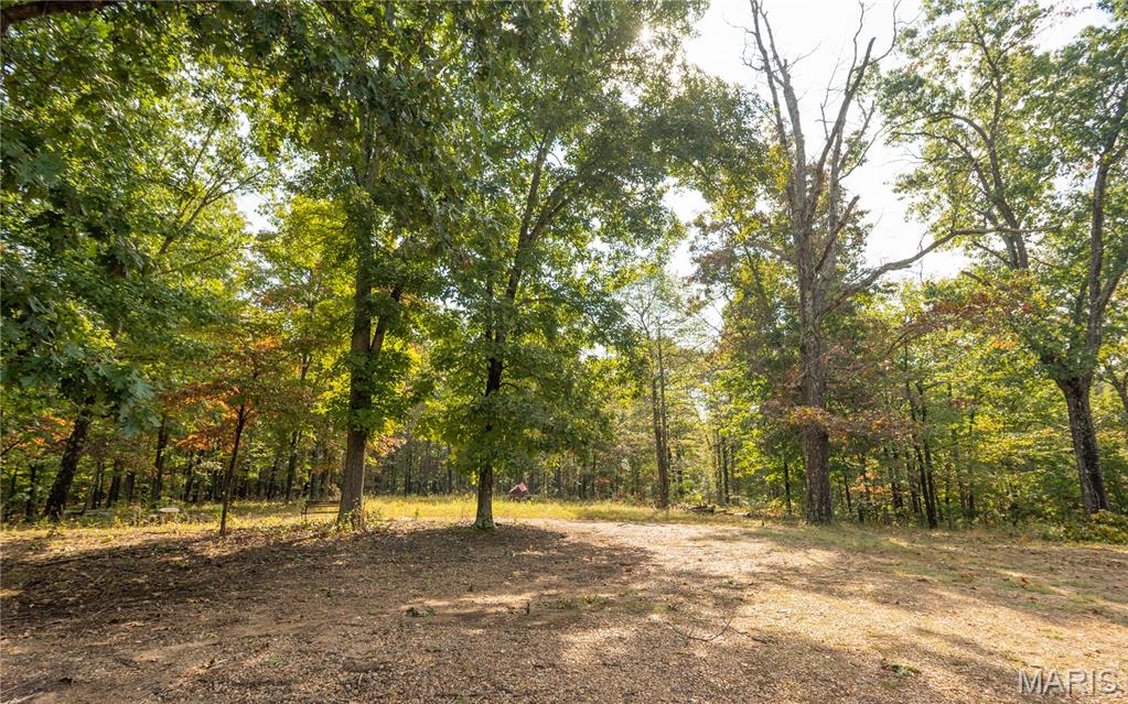 1981 Ripley Route Doniphan, MO 63935 - Photo 33 of 58