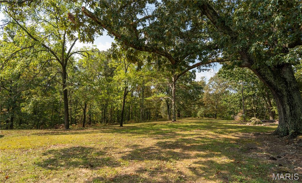 1981 Ripley Route Doniphan, MO 63935 - Photo 34 of 58