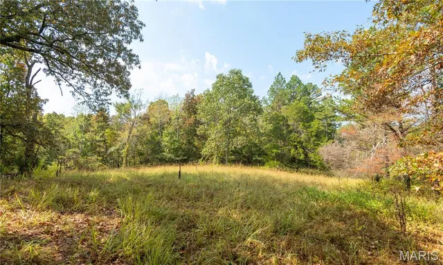 $337,500 | 1981 Ripley Route, Doniphan, MO 63935