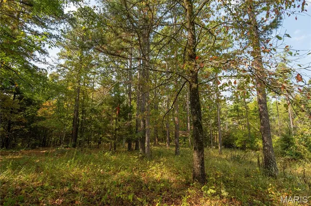 $337,500 | 1981 Ripley Route, Doniphan, MO 63935