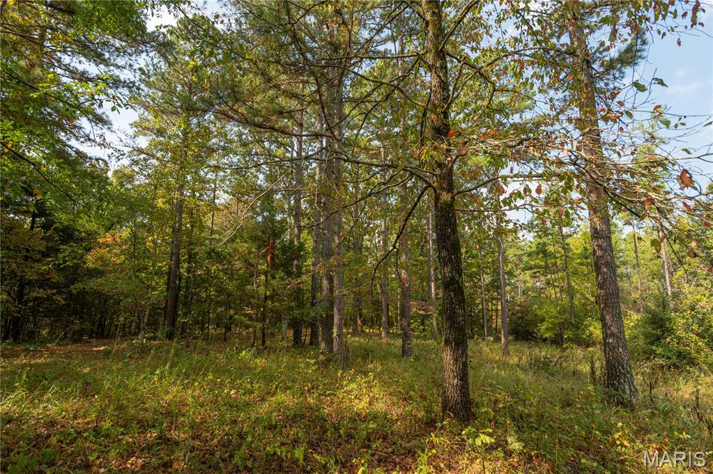 1981 Ripley Route Doniphan, MO 63935 - Photo 37 of 58