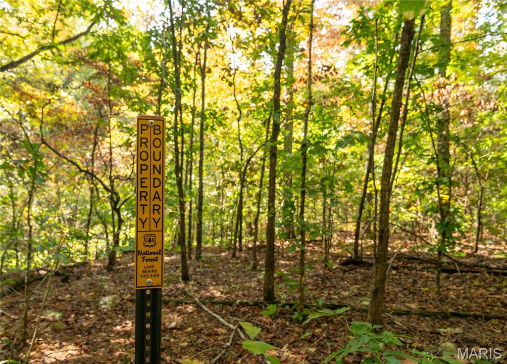 1981 Ripley Route Doniphan, MO 63935 - Photo 38 of 58