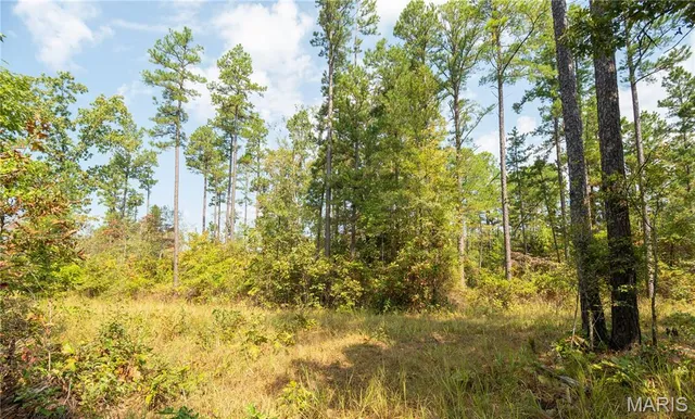 $337,500 | 1981 Ripley Route, Doniphan, MO 63935