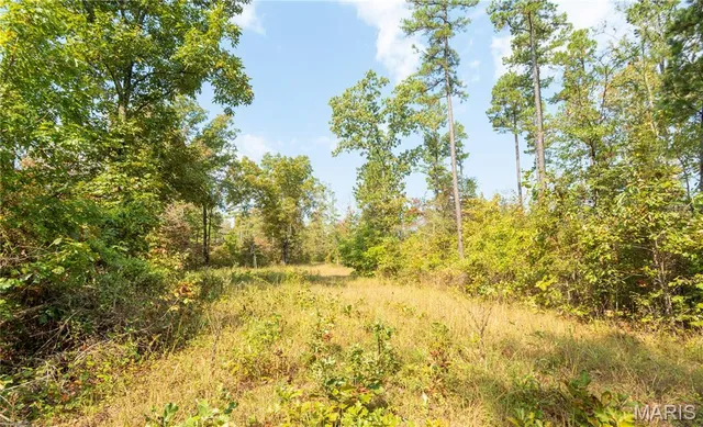 $337,500 | 1981 Ripley Route, Doniphan, MO 63935