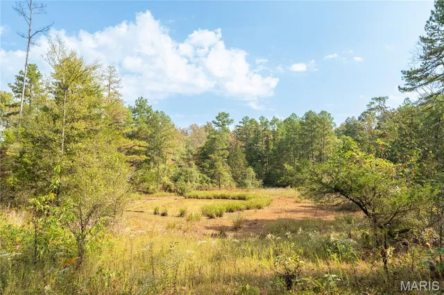 $337,500 | 1981 Ripley Route, Doniphan, MO 63935